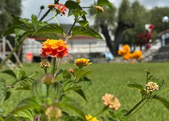 Cilento Dreams Village * Marina di Camerota